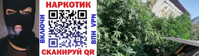 Наркотические вещества Спасск ГАШ АМФ МЕФ Каннабис Галлюциногенные грибы КОКАИН