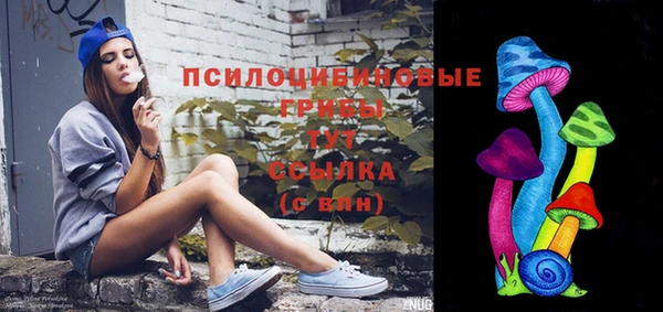 ешки Алзамай